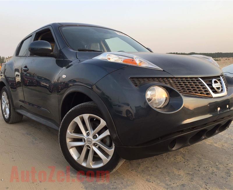 Nissan Juke 2014 Grey 