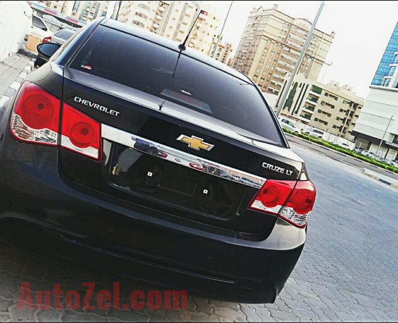 Cruze 2013 No 1