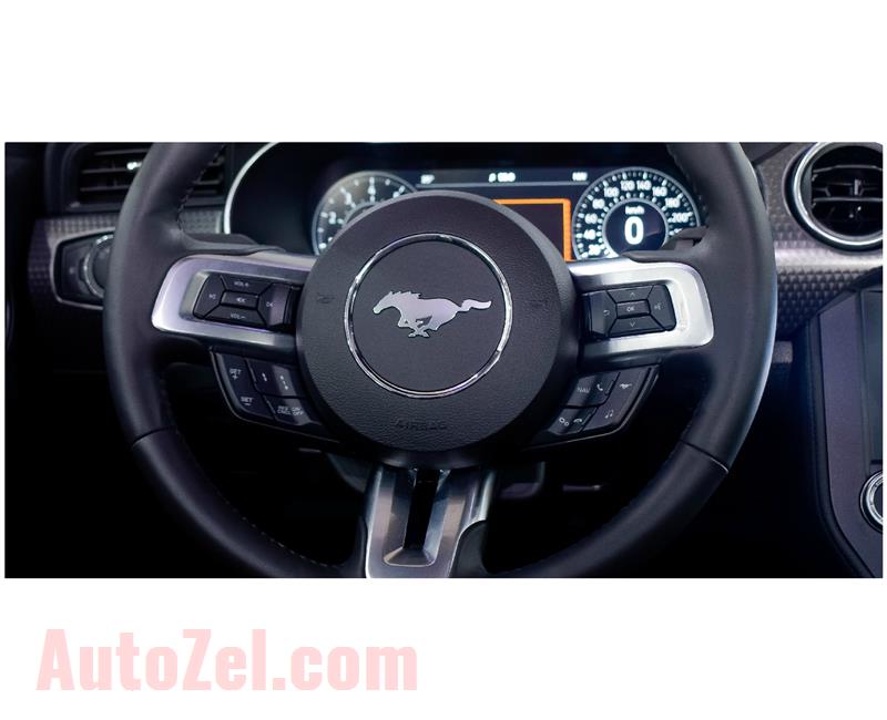 FORD MUSTANG 5.0 GT V8/ PERFORMANCE PKG/ MT