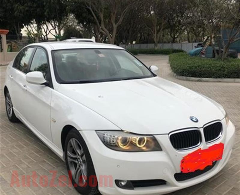 2012 BMW 316i 