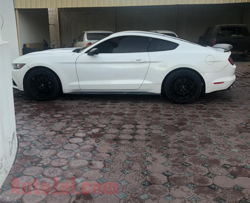 ford mustang v6