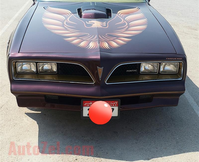 Pontiac Firebird Trans am 1978