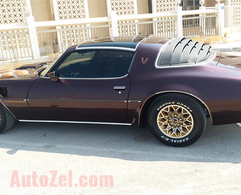 Pontiac Firebird Trans am 1978