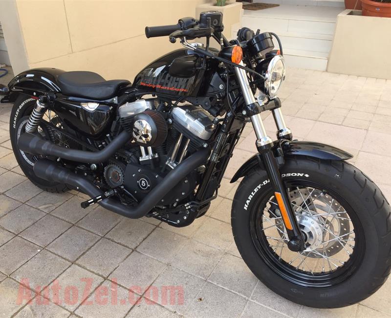 2014 Harley Davidson Sportster 48