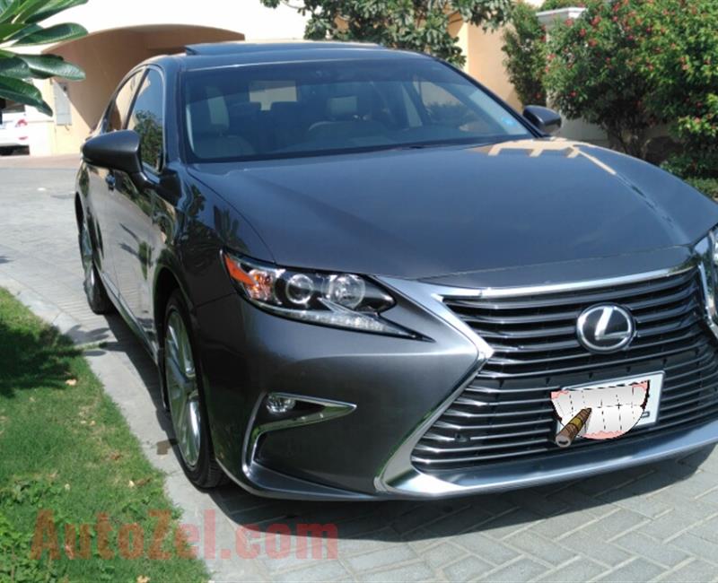 single Owner Lexus ES350 in mint condition 