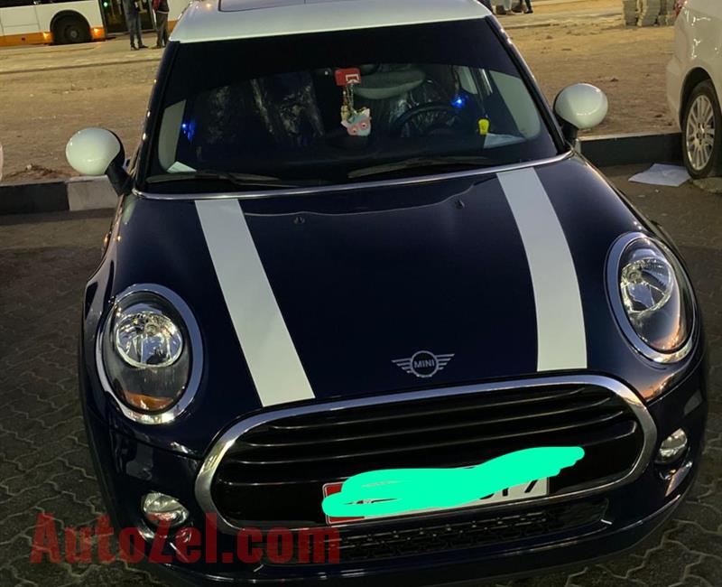 Mini copper 2019