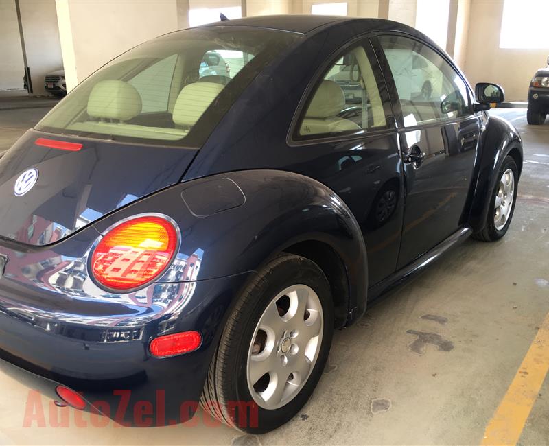 Volkswagen Beetle 