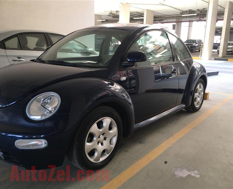 Volkswagen Beetle 