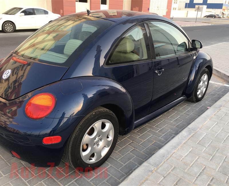 Volkswagen Beetle 