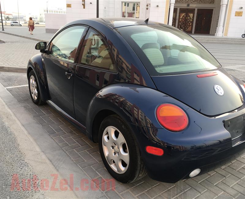 Volkswagen Beetle 