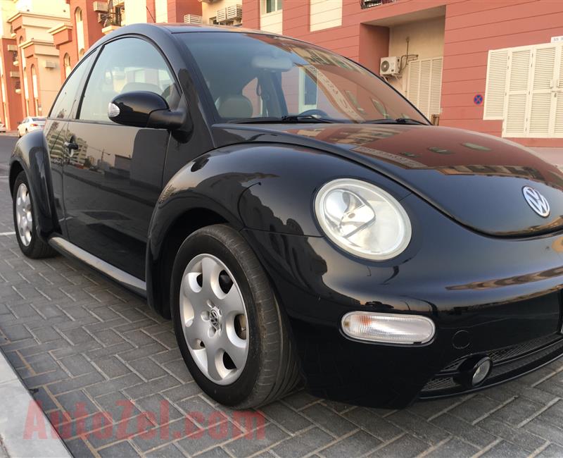 Volkswagen Beetle 