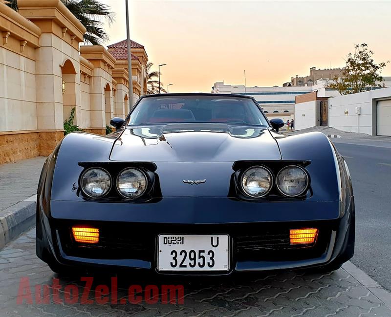 1975 corvette stingray C3 for sale