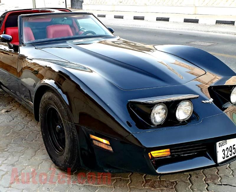 1975 corvette stingray C3 for sale