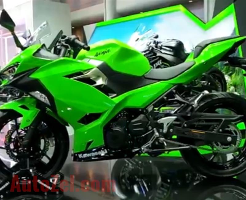 Kawasaki ninja