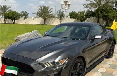 Ford Mustang 2015 Ecoboost Shelby Body Kit 