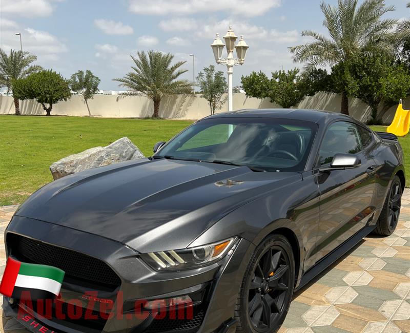 Ford Mustang 2015 Ecoboost Shelby Body Kit 