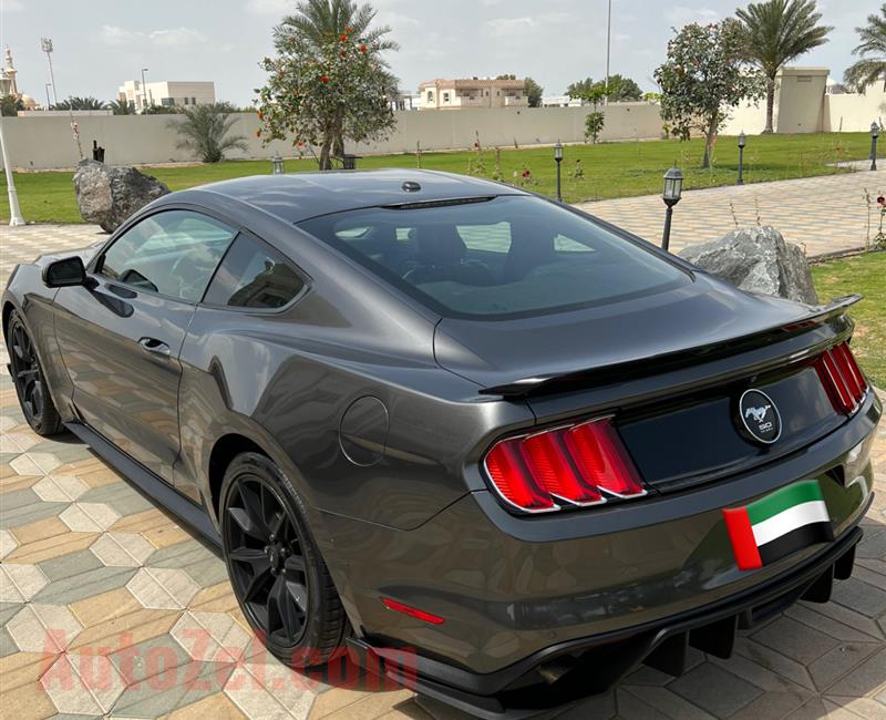 Ford Mustang 2015 Ecoboost Shelby Body Kit 