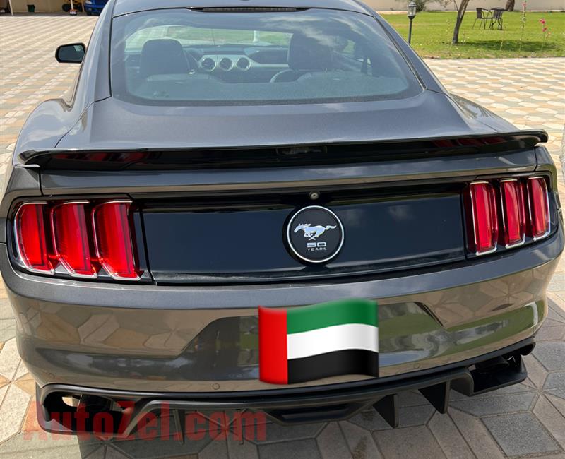 Ford Mustang 2015 Ecoboost Shelby Body Kit 