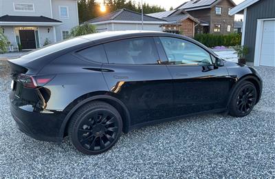  Tesla Model Y 2021 Long Range AWD