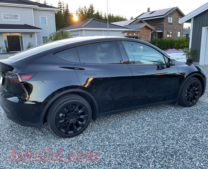  Tesla Model Y 2021 Long Range AWD