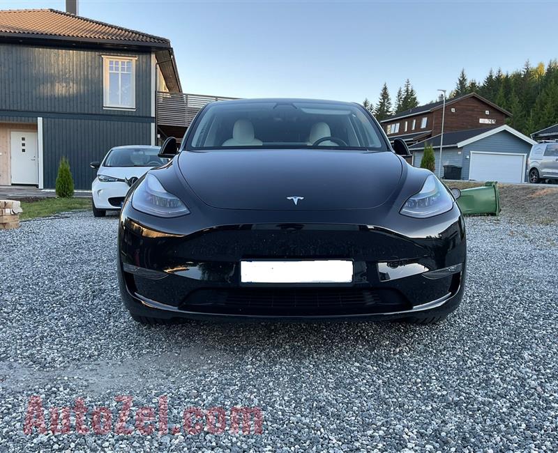  Tesla Model Y 2021 Long Range AWD