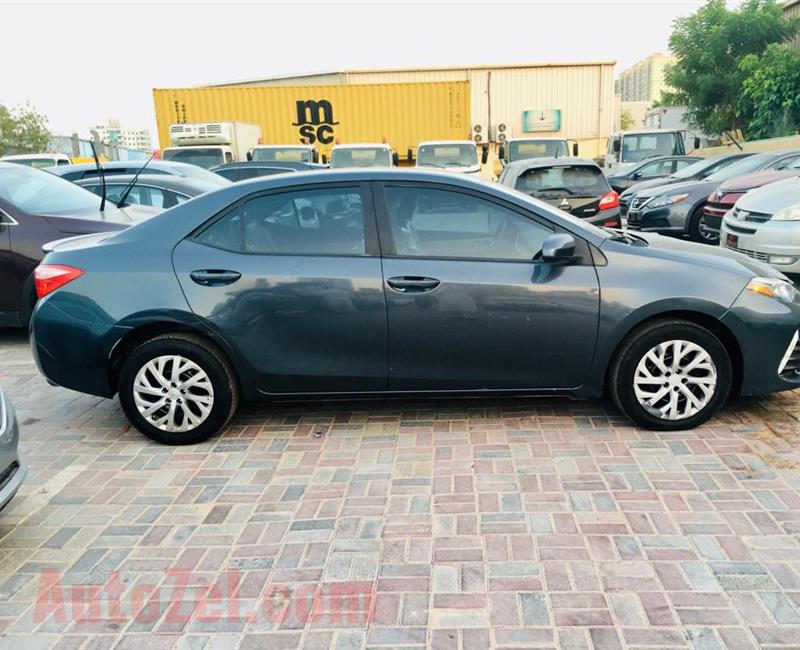 Toyota Corolla LE 2019