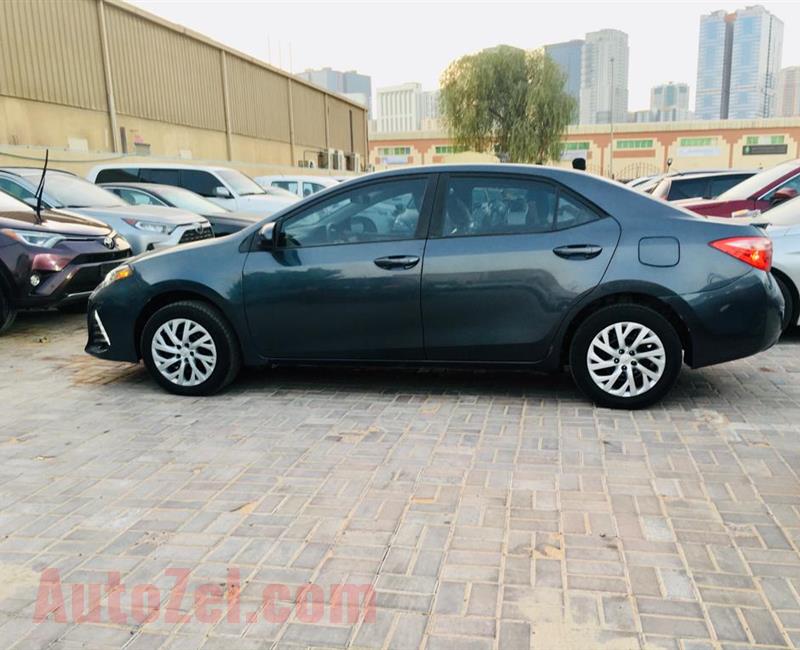 Toyota Corolla LE 2019