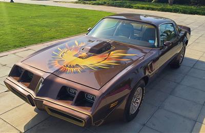 Pontiac Trans Am 1981 | Final Year Production | Well Kept...