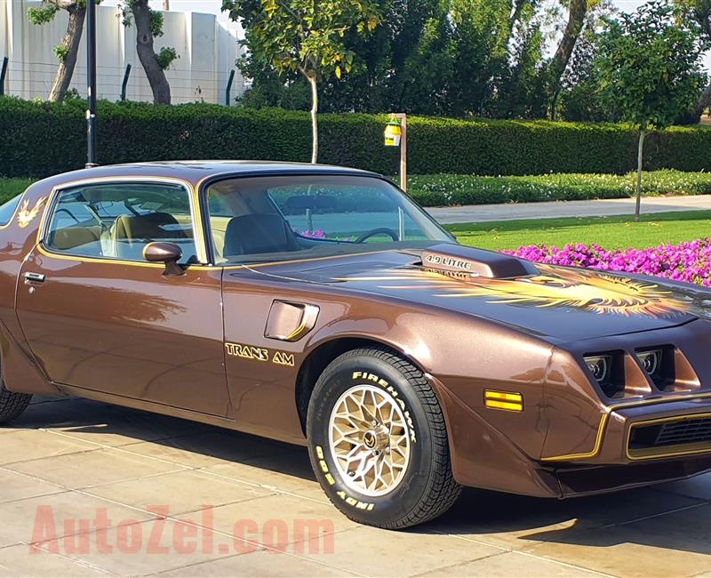 Pontiac Trans Am 1981 | Final Year Production | Well Kept | American Muscle
