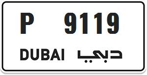 P 9119.
